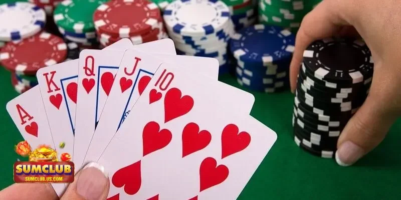 Luật Chơi Bài Xì Tố